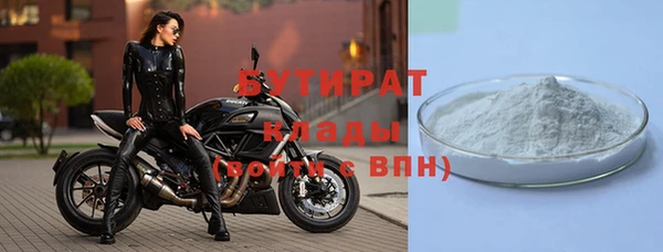 крисы Надым