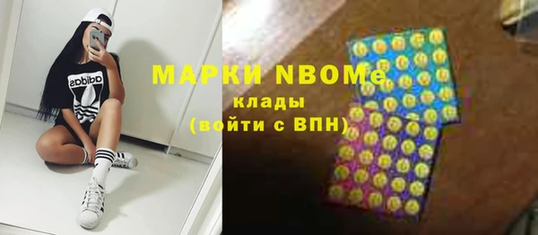 индика Дмитровск