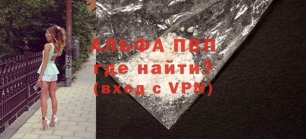 крисы Надым