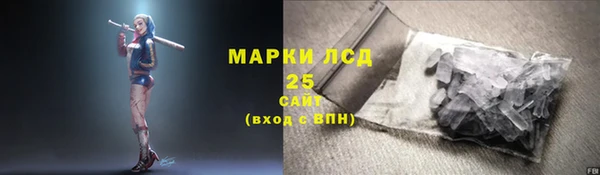 крисы Надым