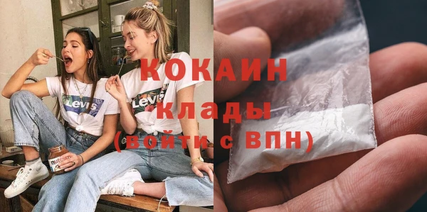 крисы Надым