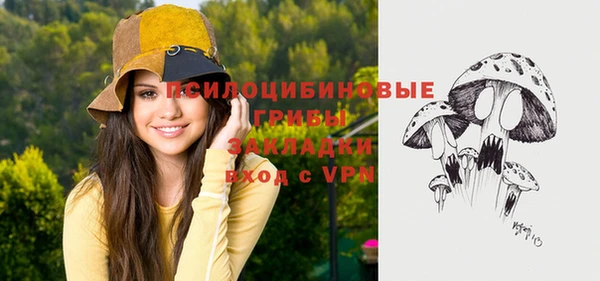 крисы Надым