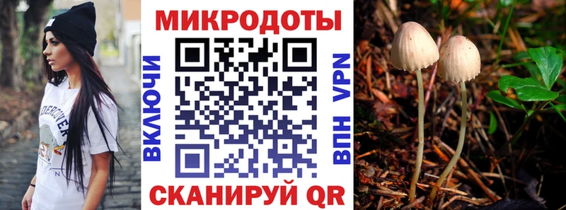 Псилоцибиновые грибы мицелий Злынка